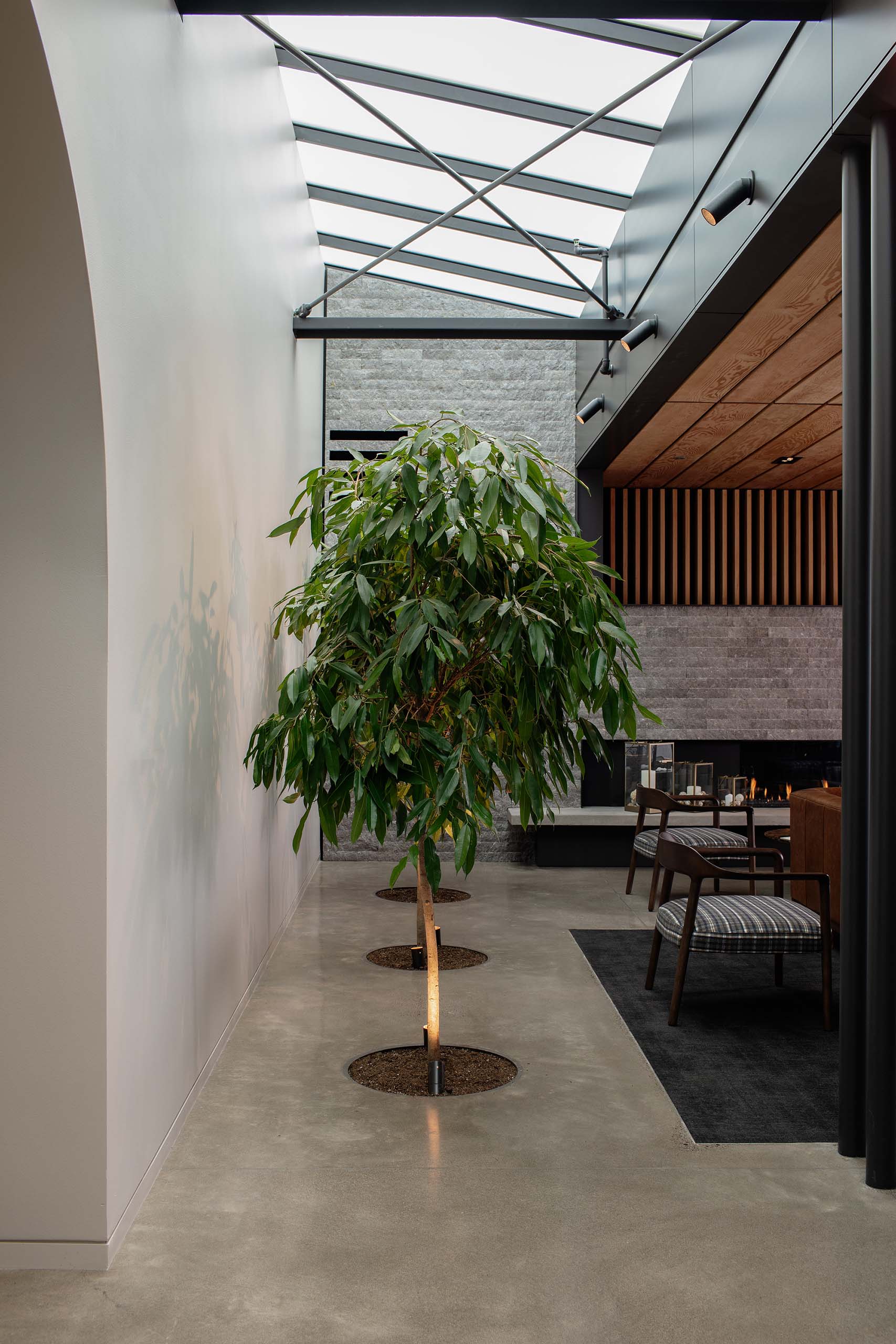 Archery Summit – Skylight copy